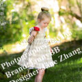 girls check flower embroidered dress